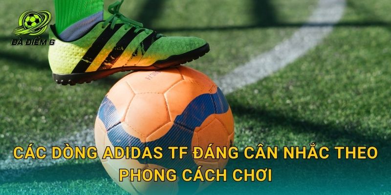 Các dòng adidas TF đáng cân nhắc theo phong cách chơi