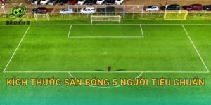 Kích thước sân bóng 5 người tiêu chuẩn: Chiều dài, chiều rộng và các vạch kẻ quan trọng