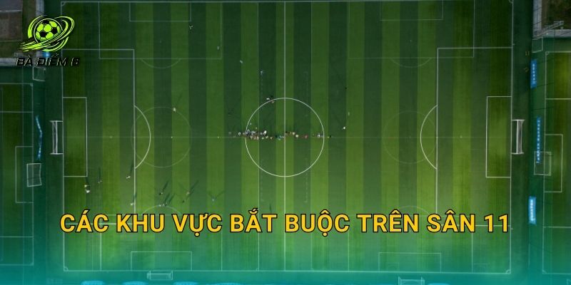Các khu vực bắt buộc trên sân 11