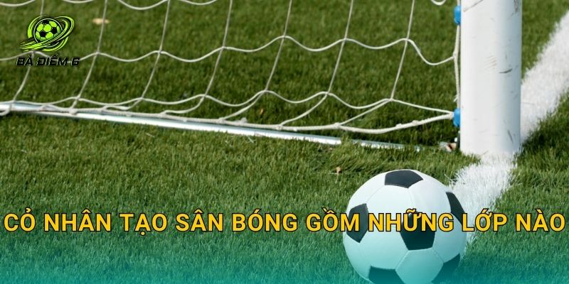 Cỏ nhân tạo sân bóng gồm những lớp nào