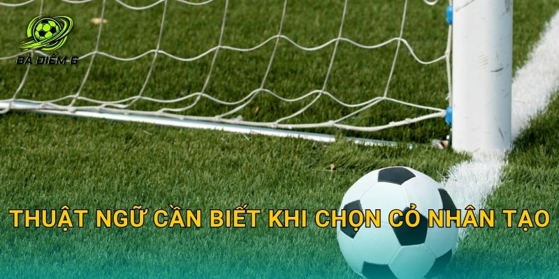Thuật ngữ cần biết khi chọn cỏ nhân tạo