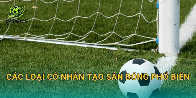 Các loại cỏ nhân tạo sân bóng phổ biến: Phân loại theo sợi cỏ và mục đích sử dụng