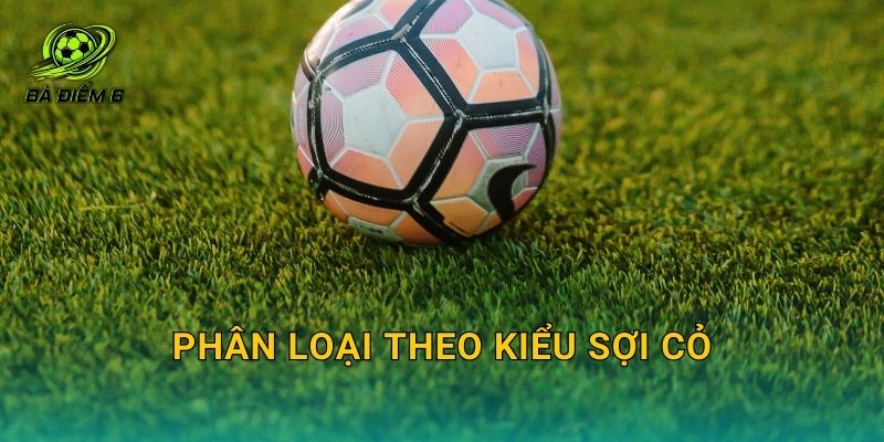 Phân loại theo kiểu sợi cỏ