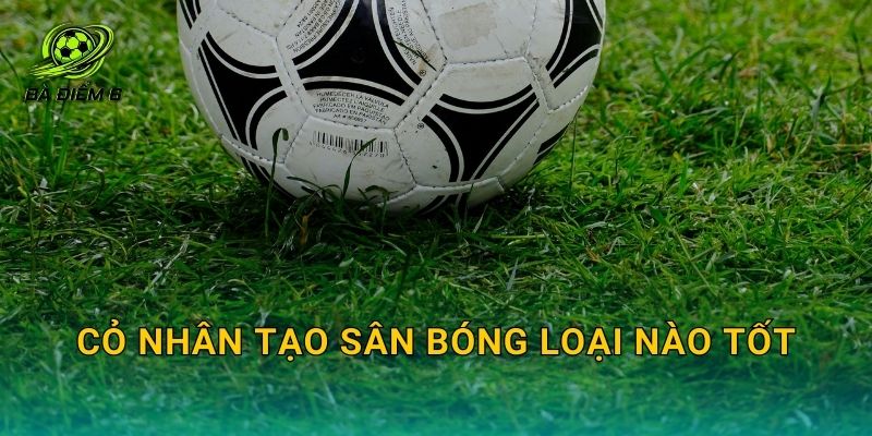 Cỏ nhân tạo sân bóng loại nào tốt: Tiêu chí chọn đúng theo nhu cầu thi công và khai thác