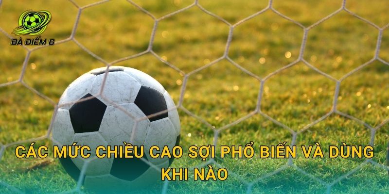 Các mức chiều cao sợi phổ biến và dùng khi nào