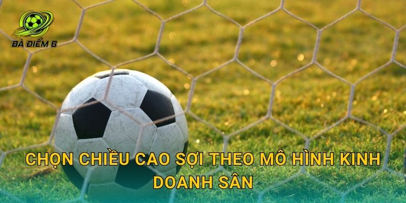 Chọn chiều cao sợi theo mô hình kinh doanh sân