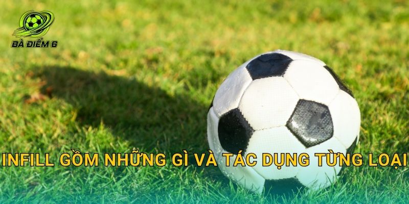Infill gồm những gì và tác dụng từng loại