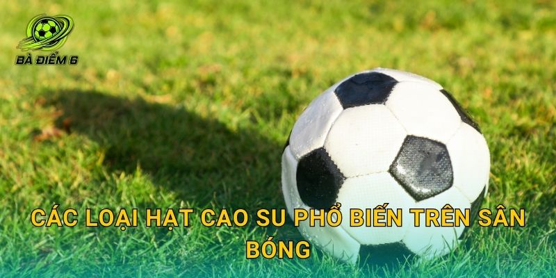 Các loại hạt cao su phổ biến trên sân bóng