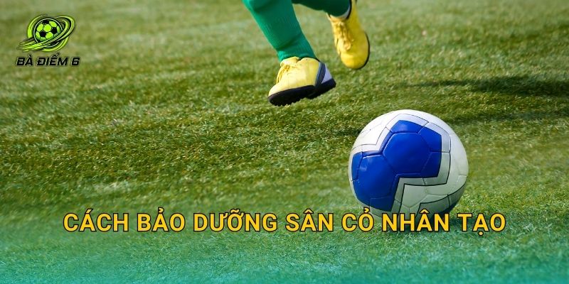 Cách bảo dưỡng sân cỏ nhân tạo: Lịch bảo trì giúp sân bền và đá êm lâu dài