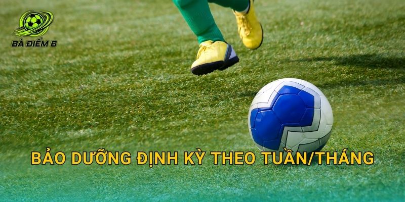 Bảo dưỡng định kỳ theo tuần/tháng
