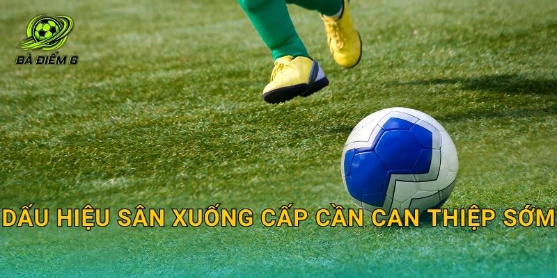 Dấu hiệu sân xuống cấp cần can thiệp sớm