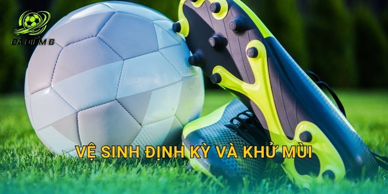 Vệ sinh định kỳ và khử mùi