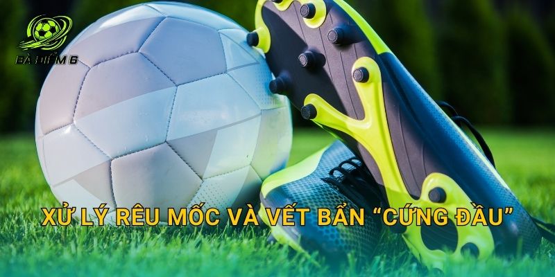 Xử lý rêu mốc và vết bẩn “cứng đầu”