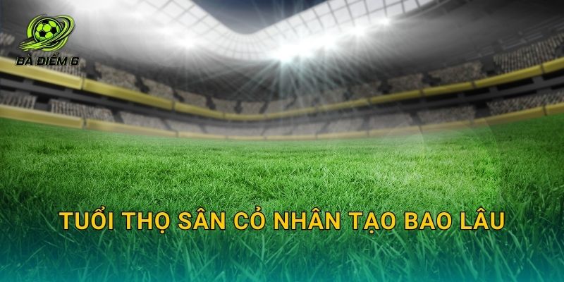 Tuổi thọ sân cỏ nhân tạo bao lâu: Bao nhiêu năm cần thay và cách kéo dài tuổi thọ