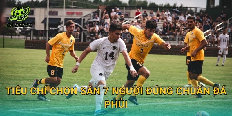 Tiêu chí chọn sân 7 người đúng chuẩn đá phủi