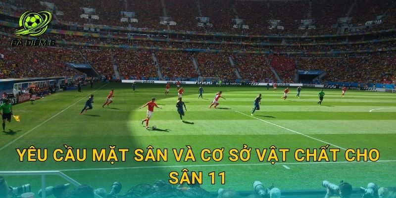 Yêu cầu mặt sân và cơ sở vật chất cho sân 11