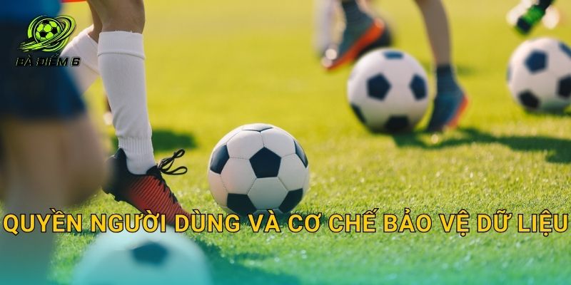 Quyền người dùng và cơ chế bảo vệ dữ liệu