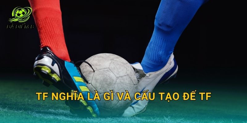 TF nghĩa là gì và cấu tạo đế TF
